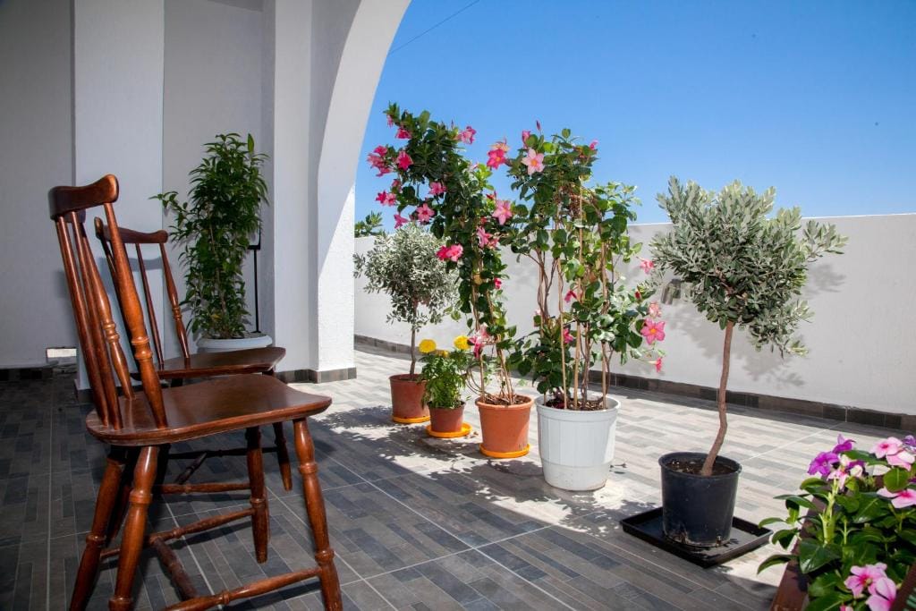 Shaded courtyard seating with Aegean views