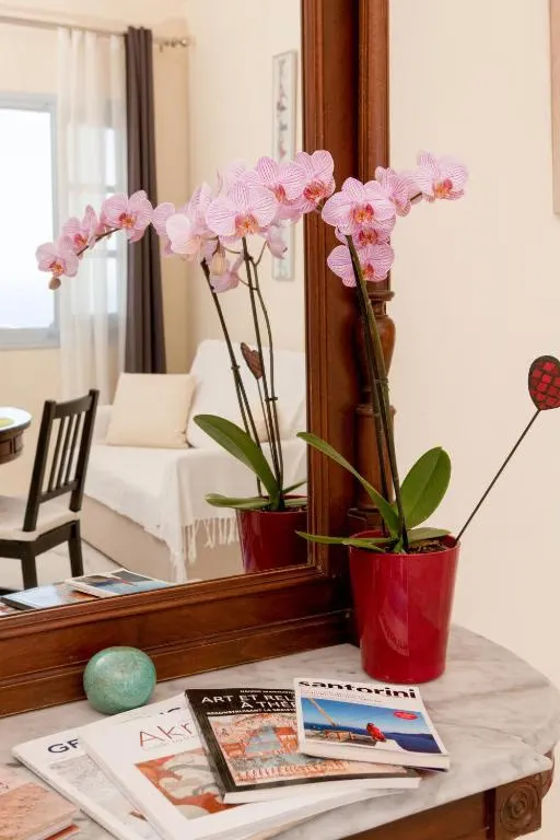 Superior Studio With Balcony and Sunrise Sea View